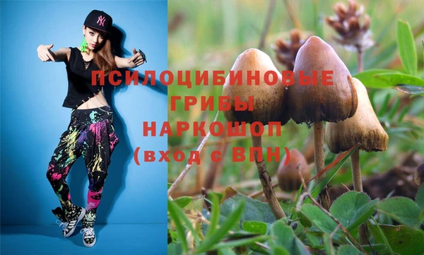 2c-b Магас